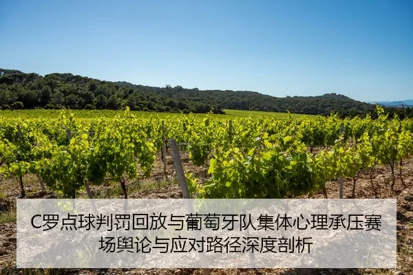 C罗点球判罚回放与葡萄牙队集体心理承压赛场舆论与应对路径深度剖析